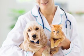 Tuklasin Pet Services sa Taguig